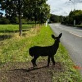 Des silhouettes d’animaux en bordure de route