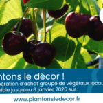 Plantons le décor