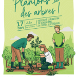 Plantons un arbre