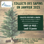 Collecte des déchets 2025 et des sapins de Noël